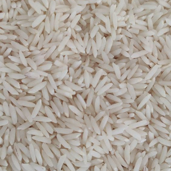 طارم هاشمی (نمونه)